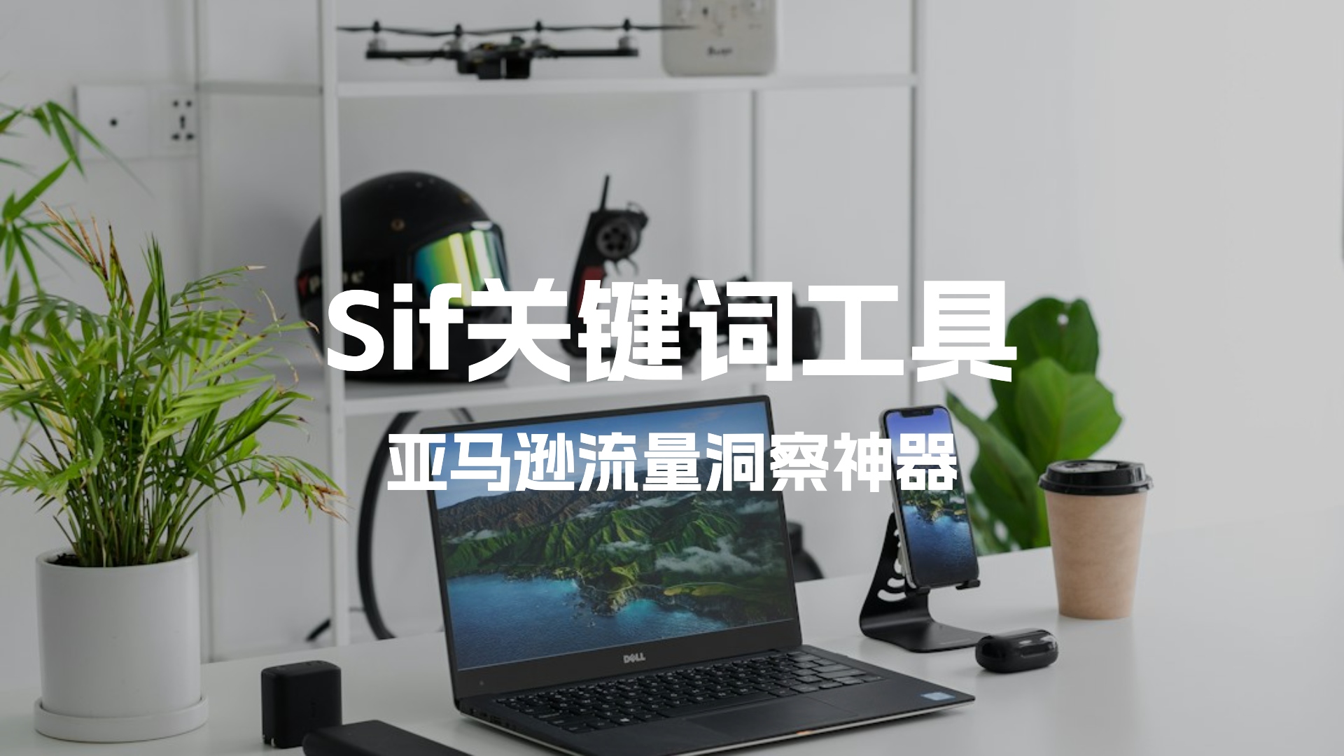 sifguanjianci_副本.jpg