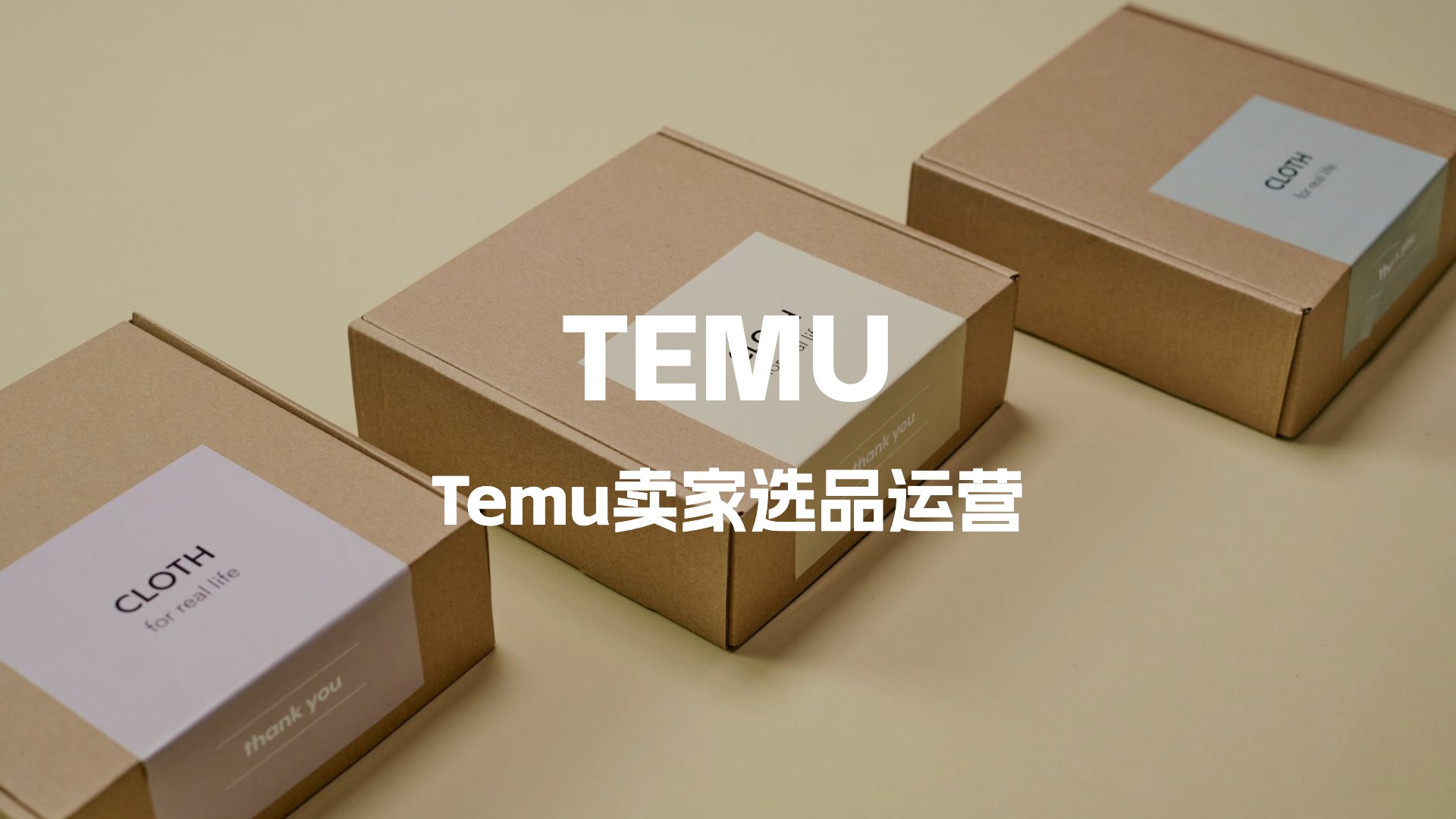 跨境电商平台TEMU卖家选品运营数据分析工具有哪些？